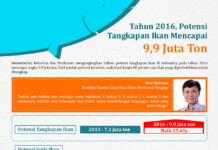 Tahun 2016, Potensi Tangkapan Ikan Mencapai 9,9 Juta Ton
