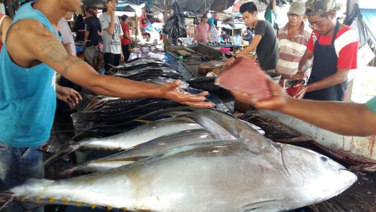 Pemberantasan IUUF, menjaga kekayaan bangsa (foto: NMN)